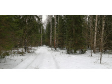 IMG 20200104 122844.jpg