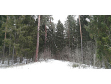 IMG 20200106 120058.jpg