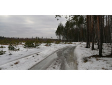 IMG 20200118 123049.jpg