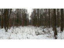 IMG 20200106 124831.jpg