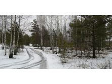 IMG 20200119 123333.jpg