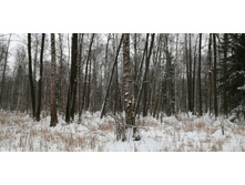 IMG 20200112 114630.jpg