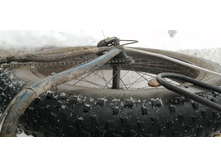 IMG 20200119 123149.jpg