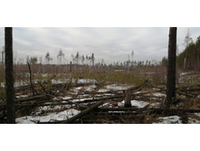 IMG 20200118 131815.jpg