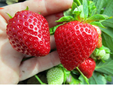 �����* 72�