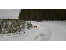 IMG 20200126 112004.jpg