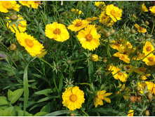 ��������� ���������������