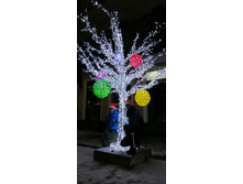 IMG 20200101 005031.jpg