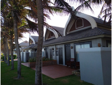 IMG 20200211 164834.jpg