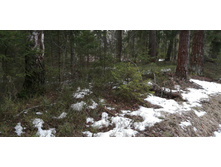 IMG 20200229 112044.jpg