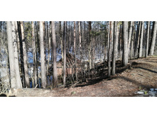 IMG 20200222 122037.jpg