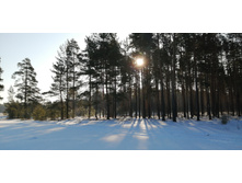 IMG 20200222 093047.jpg