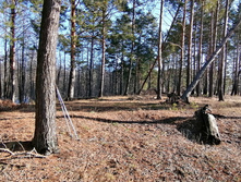 IMG 20200222 112453.jpg