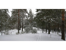 IMG 20200202 115648.jpg