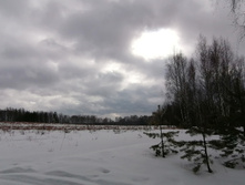 IMG 20200229 120528.jpg