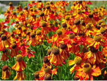 ��������*