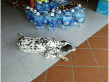 IMG 20200214 152215.jpg