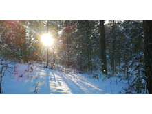 IMG 20200208 152131.jpg