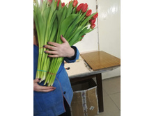 IMG 20190223 183811.jpg