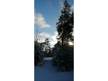 IMG 20200208 142022.jpg