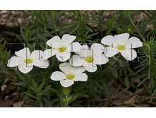 �������� ������.jpeg