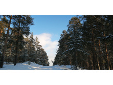 IMG 20200208 143838.jpg