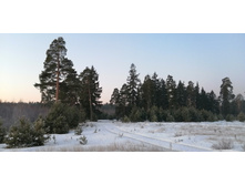 IMG 20200222 070522.jpg