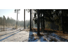 IMG 20200222 085941.jpg