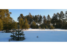 IMG 20200222 093016.jpg