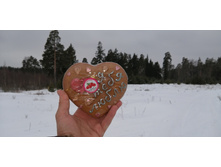 IMG 20200215 155805.jpg