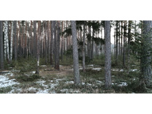 IMG 20200222 072722.jpg