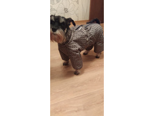 ����������� viber 2020-02-17 10-13-44.jpg