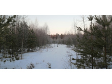 IMG 20200222 073238.jpg