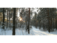 IMG 20200208 151735.jpg