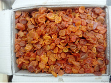 ������ 1 ����