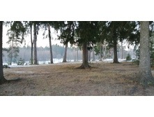 IMG 20200222 071221.jpg