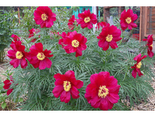 ���� ����.jpg