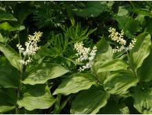 ��������� ����������.jpeg