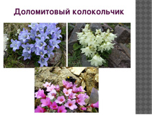 ����������� �����������.jpg