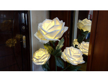 IMG 20190323 102626.jpg