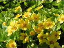 ������������ ���������.jpeg