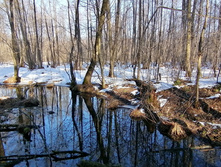 IMG 20200222 123133.jpg