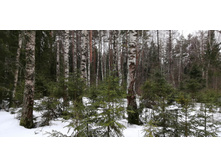 IMG 20200229 111647.jpg