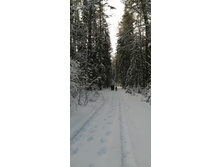 IMG 20200209 113528.jpg