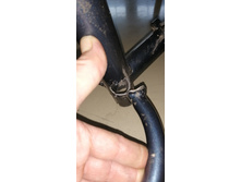 IMG 20200221 120036.jpg