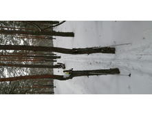 IMG 20200202 122239.jpg