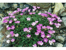 ������� ���������� ����� ����.jpeg