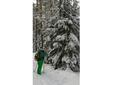 IMG 20200209 175946.jpg