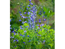 �������� �����.jpeg