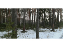 IMG 20200222 072550.jpg